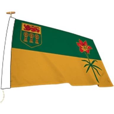 Image Drapeaux des provinces et territoires canadiens
